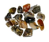 Agate Moss Tumbled Stone XLG From Montana